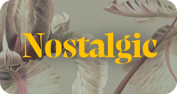 OnCase kryty – banner | kolekce Nostalgic